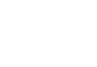 PSV logo