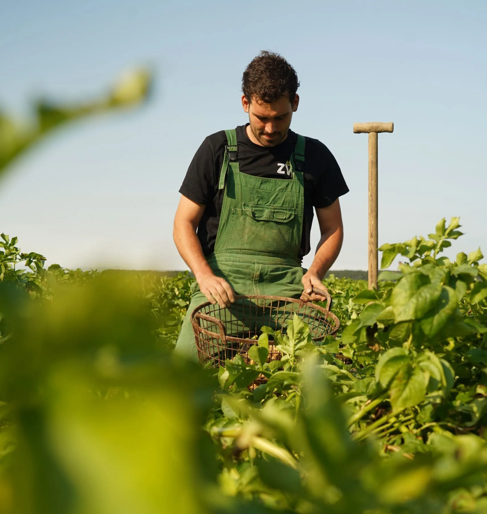Boerderij Friet projectbeeld