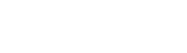 Bloxs logo