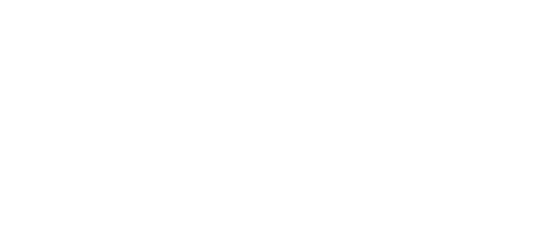 PensioenVizier logo